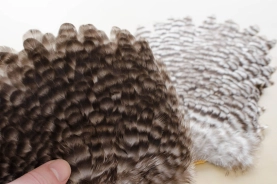 Dark and light hen patches Dark and light hen patches