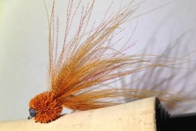 Rusty brown Rusty brown