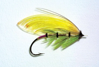 Emerald Gem Emerald Gem