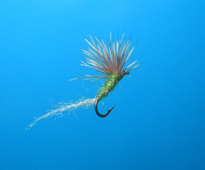 Sparkle Dun size 16 Sparkle Dun size 16