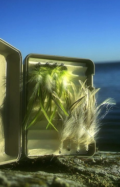 I love pike flies I love pike flies