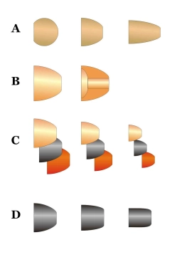 Cone types Cone types
