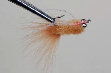 The Crab Bastard The Crab Bastard