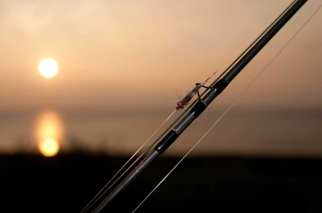 Front page photo Front page photo