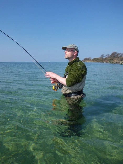 Under control Under control