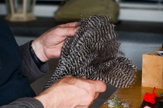 Almost endless Almost endless