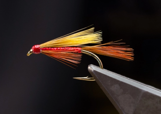 Talisker Touchdown with red body Talisker Touchdown with red body