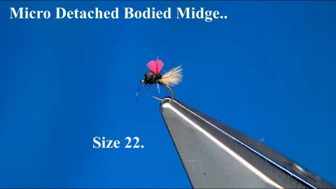 Video thumb for Micro Detached Bodied Midge