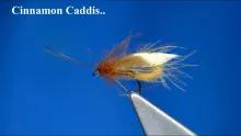 Video thumb for CDC & Feather Wing Caddis