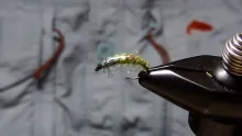 Video thumb for Caddis Czech Nymph