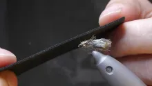Video thumb for CFF Foam Caddis
