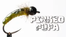Video thumb for Pinked Pupa
