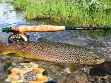 User submitted picture: the rod,the reel and the ...