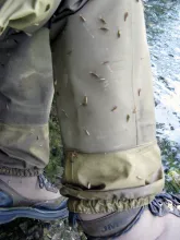 User submitted picture: " Sedges on my waders !!...