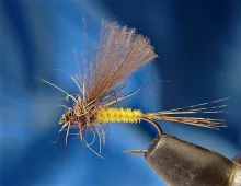 User submitted picture: The dry fly "Cul de Cana...