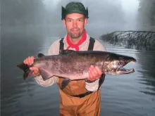 User submitted picture: Silver Salmon Buck 12 pou...