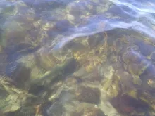 User submitted picture: Gotcha! 
Taken on camera...