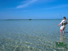 Computer screen wallpaper: Leaning into a Mexican bonefish.