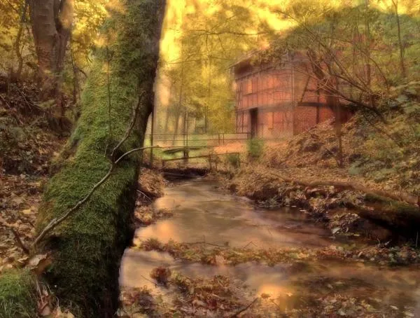 User submitted picture: Autumn