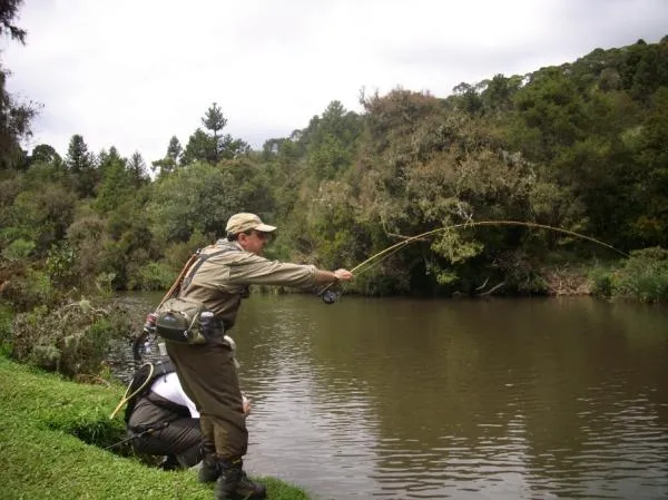 User submitted picture: Figthing with brazilian t...