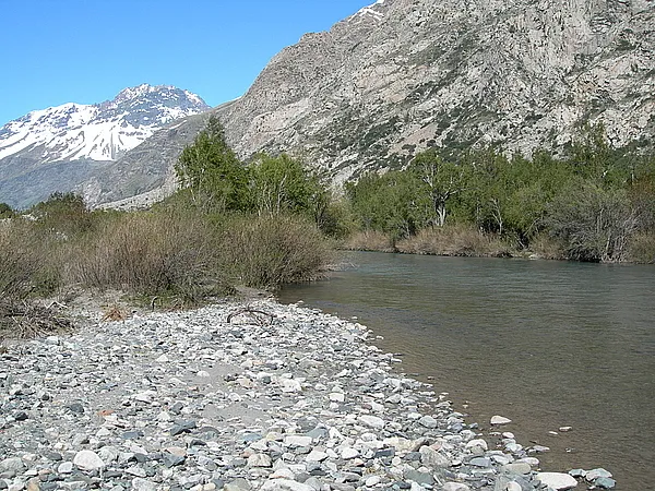 User submitted picture: Up mountain central Chile...