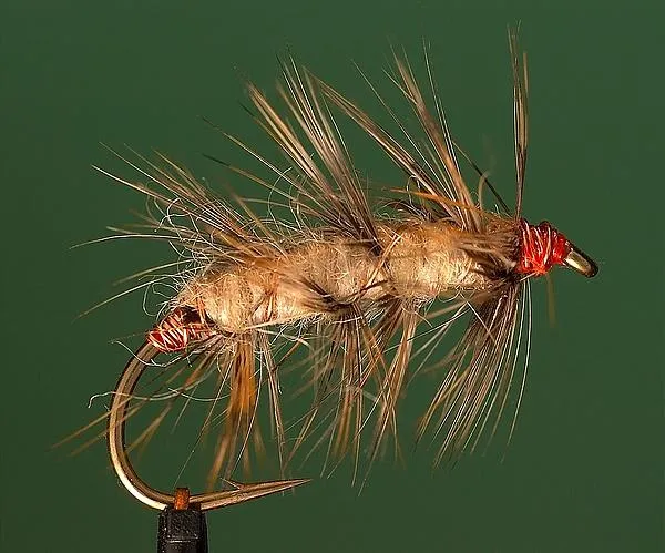 User submitted picture: Small Bug for the seatrou...