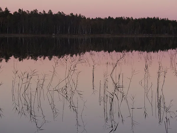 User submitted picture: Summer evening at Steensjön