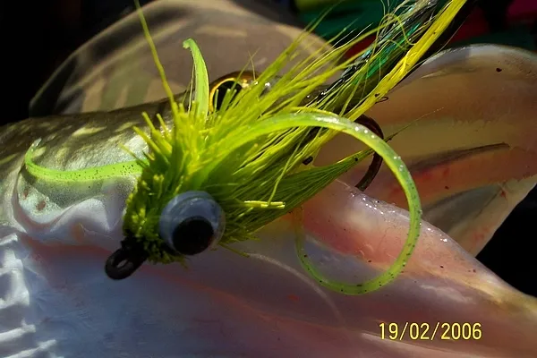 User submitted picture: pike on the fly