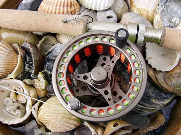 User submitted picture: My new 2006 flyrod and wh...