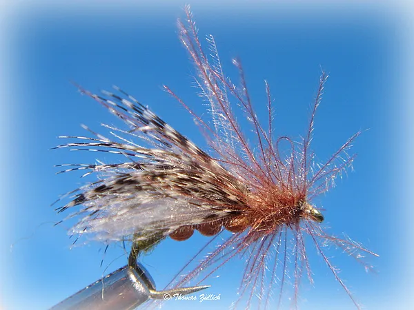 User submitted picture: CDC Caddis