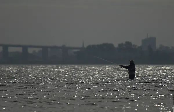 User submitted picture: Angler in the sun