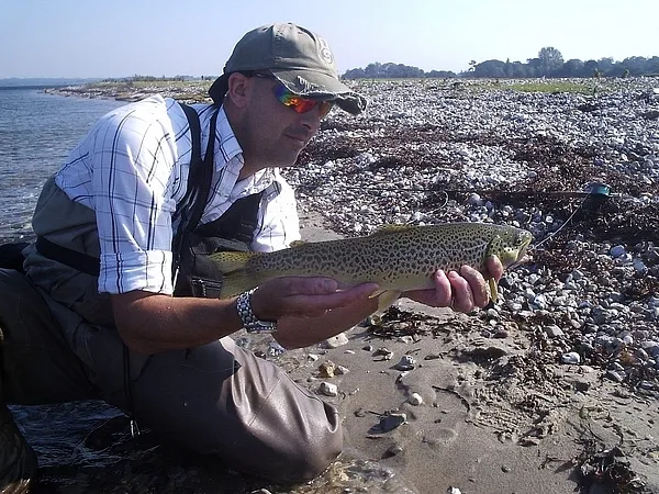 User submitted picture: GFF summit '06. Our futu...